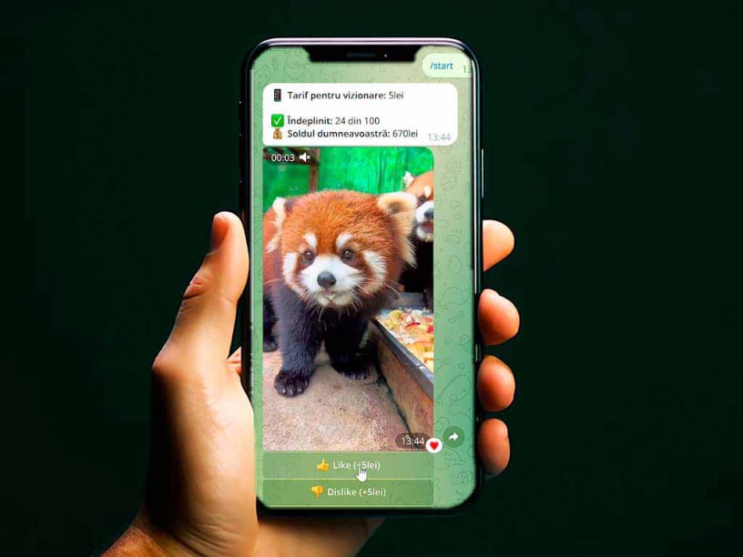 Register and complete your profile